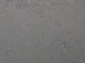 Grey Alania