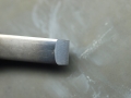 Grey Alania